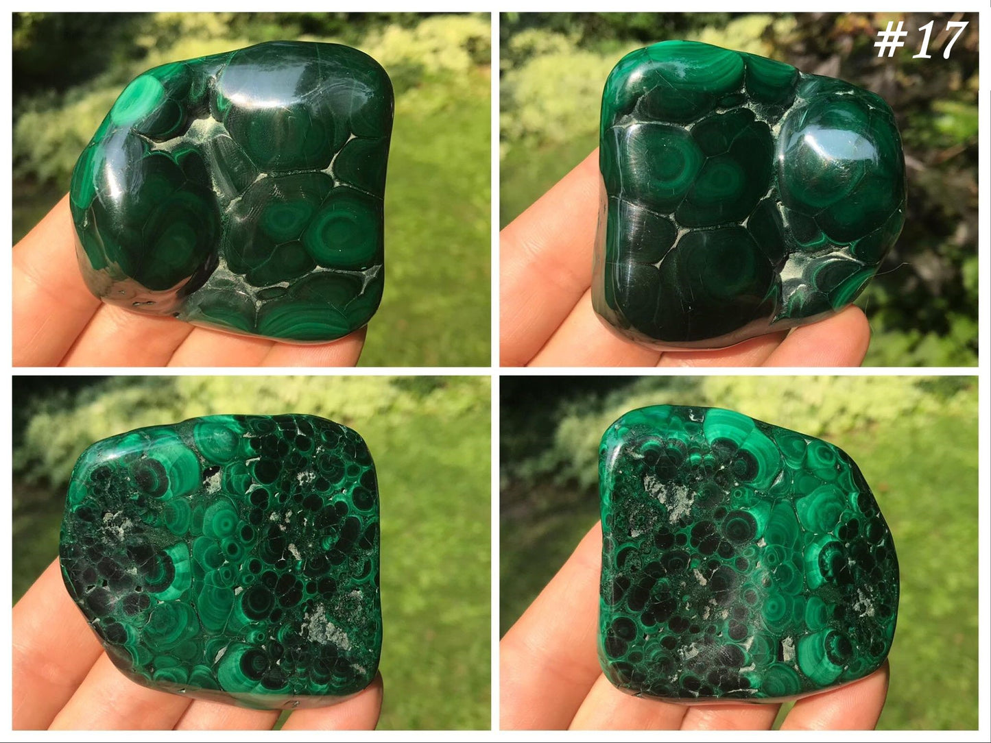 Malachite Freeforms ~ Polished Specimens