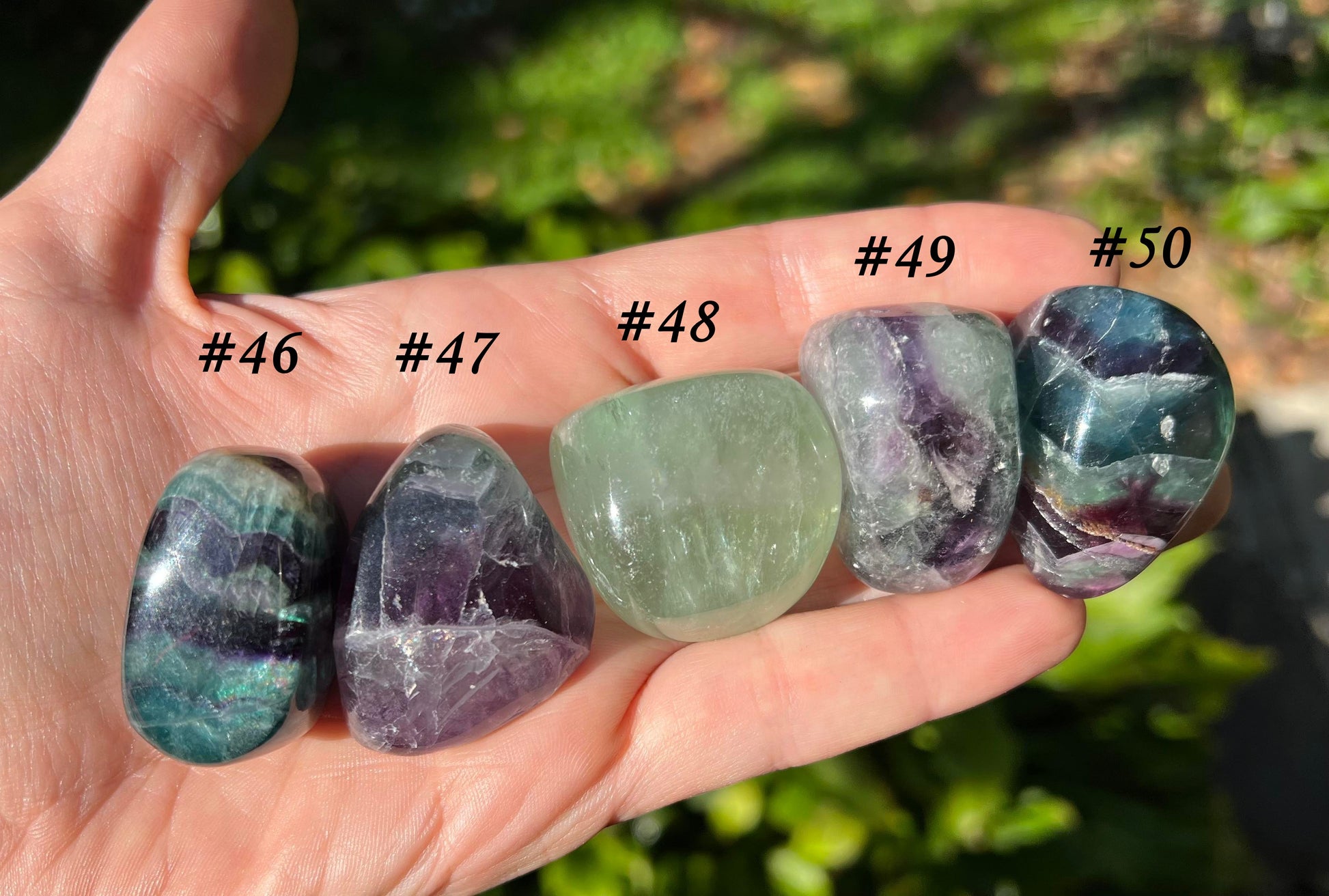 Rainbow Fluorite - Gem Realm