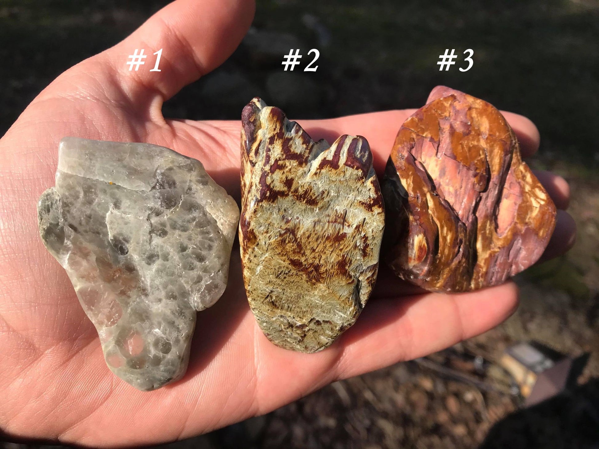 Amphibole Quartz - Gem Realm