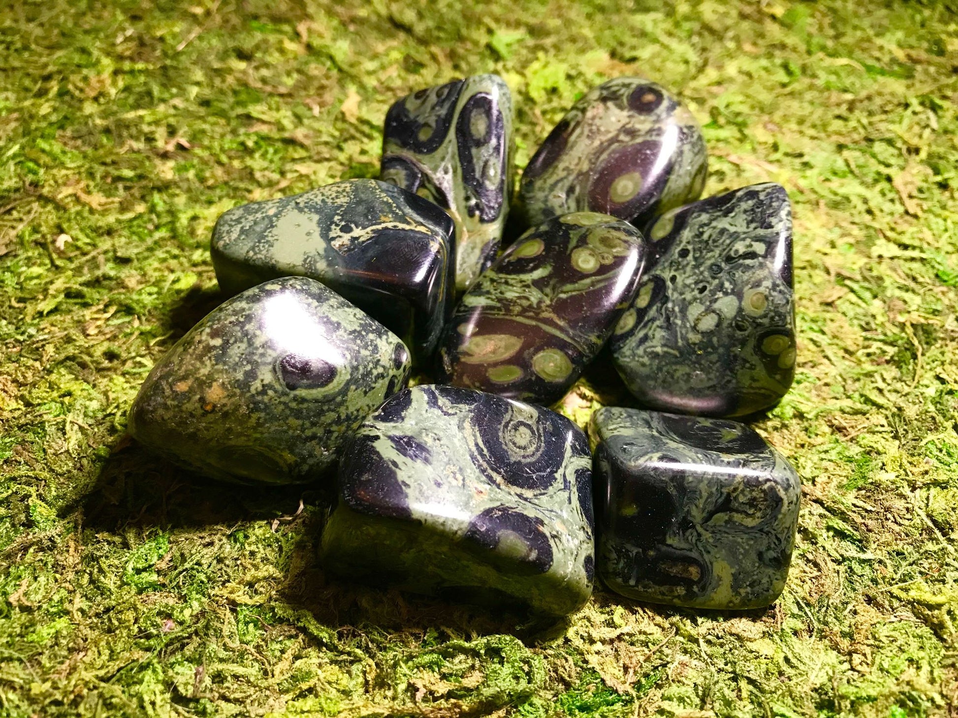 Kambaba Jasper - Gem Realm