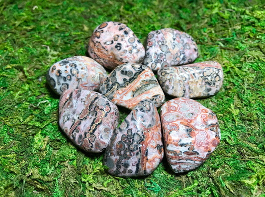 Leopardskin Jasper - Gem Realm