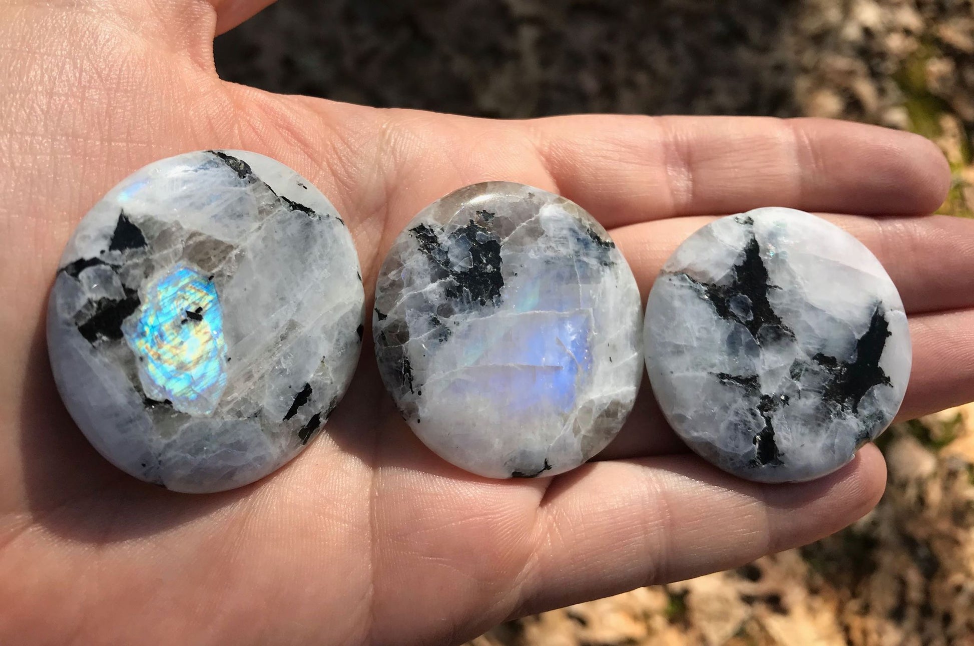 Rainbow Moonstone Palm Stones - Gem Realm