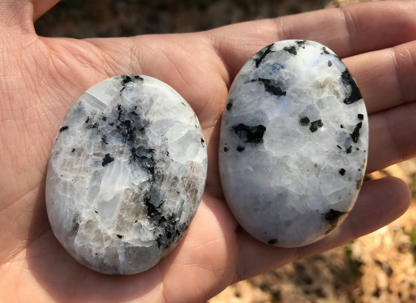 Rainbow Moonstone Palm Stones - Gem Realm