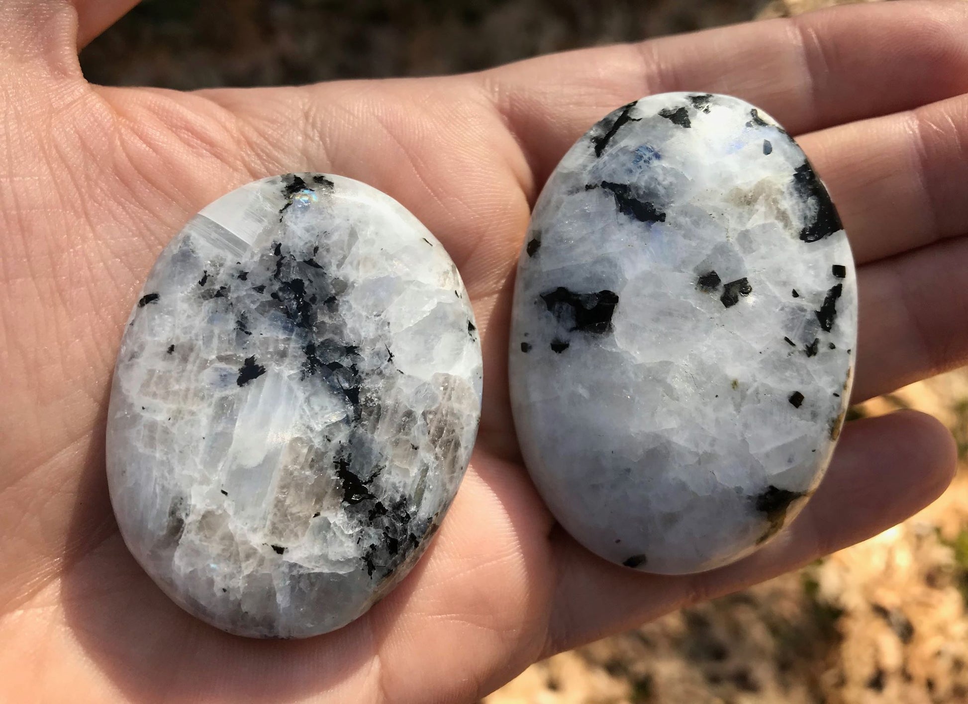 Rainbow Moonstone Palm Stones - Gem Realm