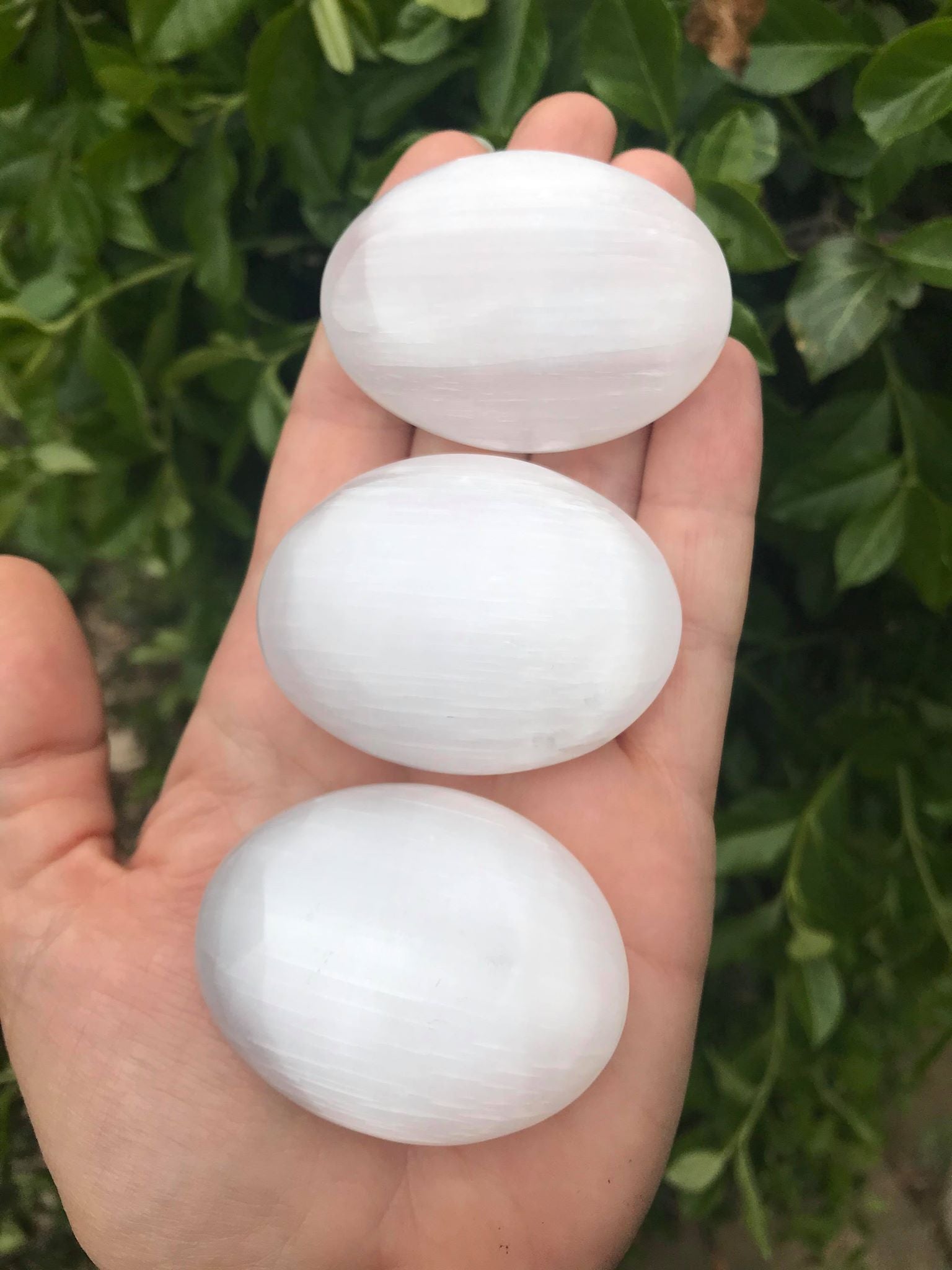 Selenite Palm Stones - Gem Realm