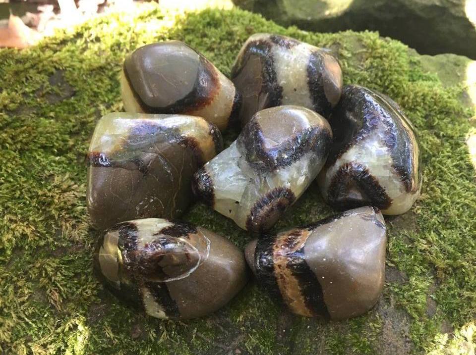 Septarian - Gem Realm
