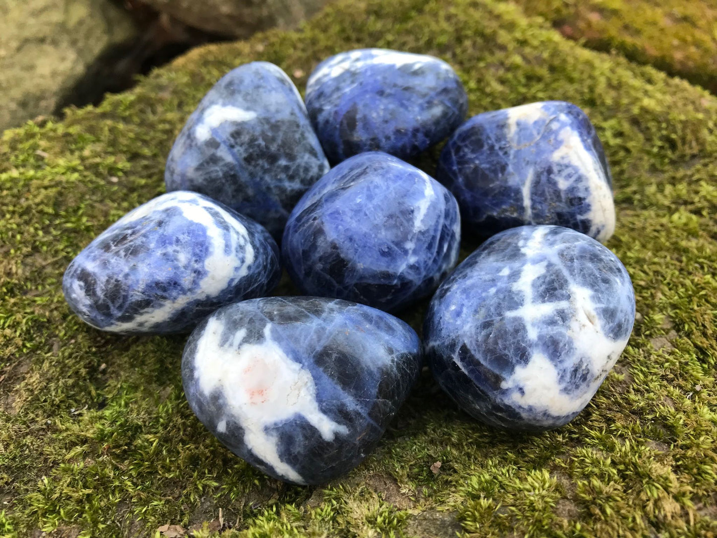 Sodalite ~ Extra Large - Gem Realm