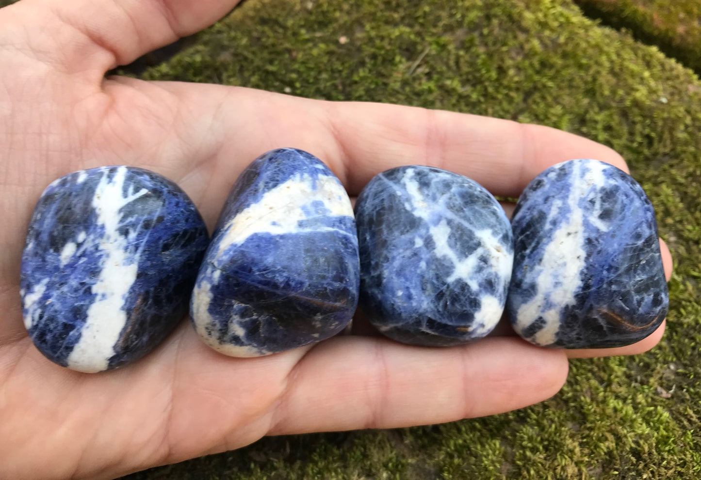 Sodalite ~ Extra Large - Gem Realm