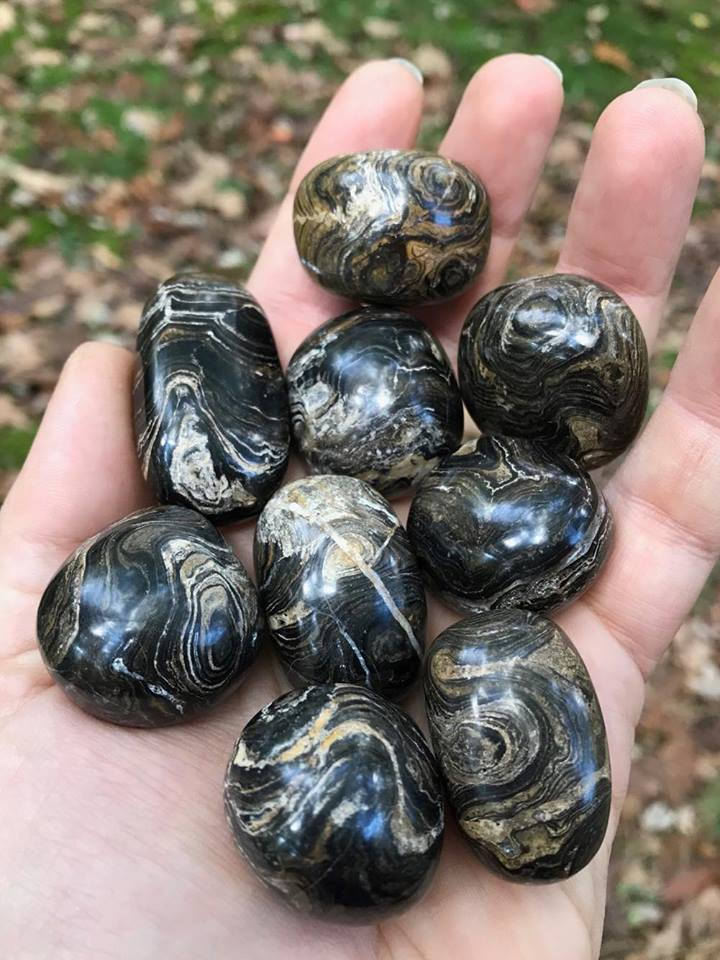 Stromatolite - Gem Realm