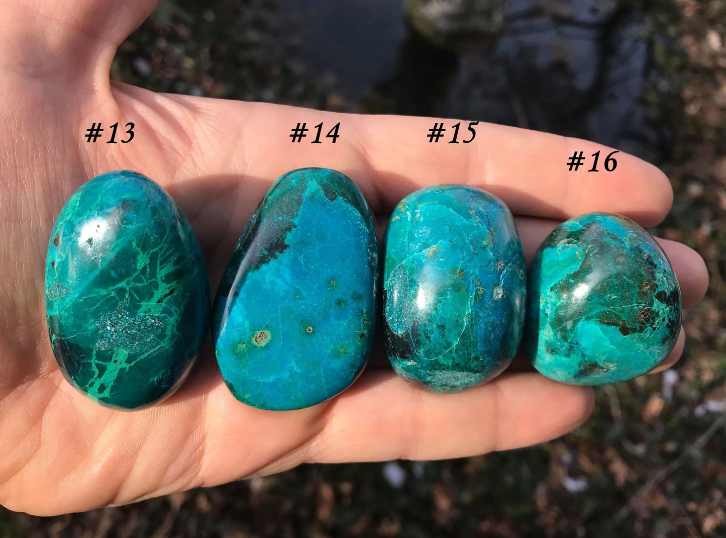 Chrysocolla ~ Extra Large - Gem Realm