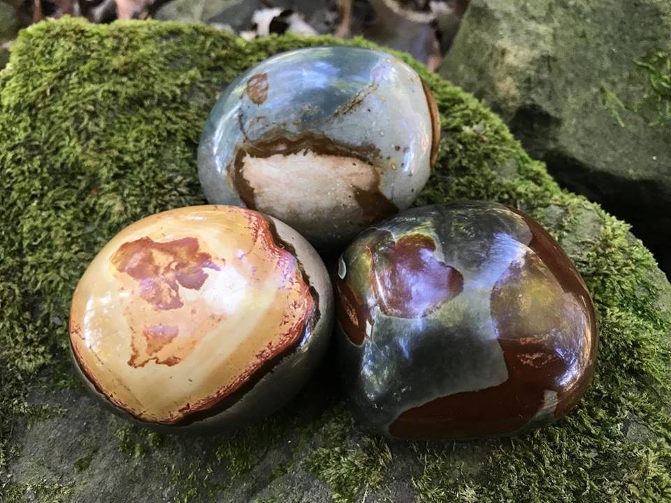 Polychrome Jasper Palm Stones - Gem Realm