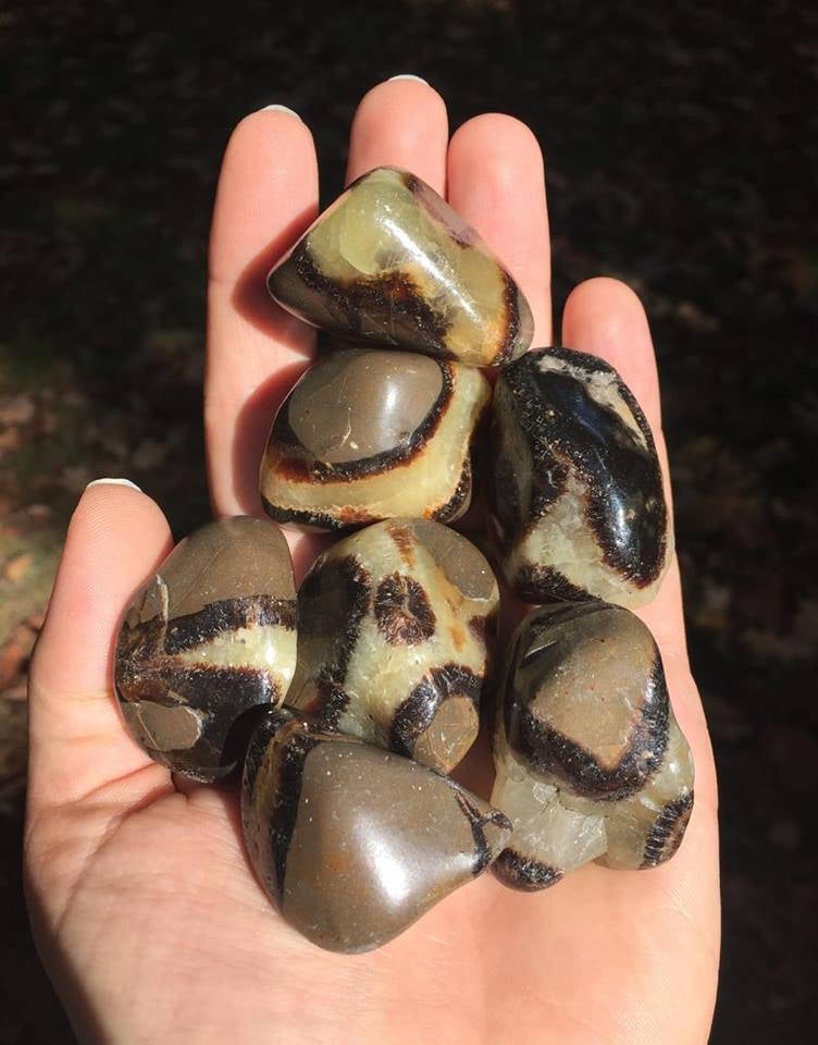Septarian - Gem Realm