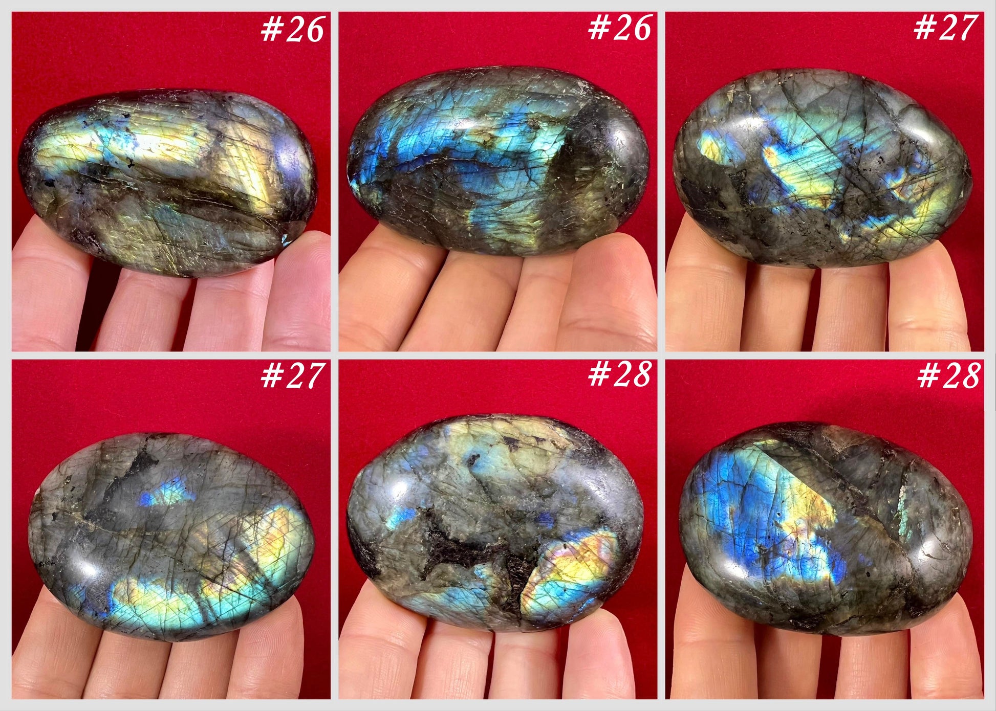 Labradorite Palm Stones - Gem Realm