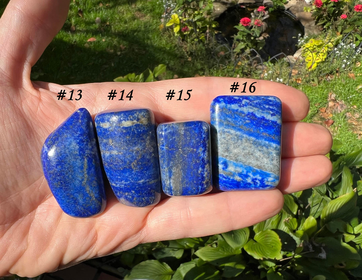 Lapis Lazuli Tumbled Stones ~ Large