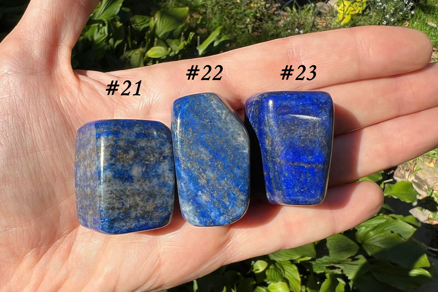 Lapis Lazuli Tumbled Stones ~ Large - Gem Realm