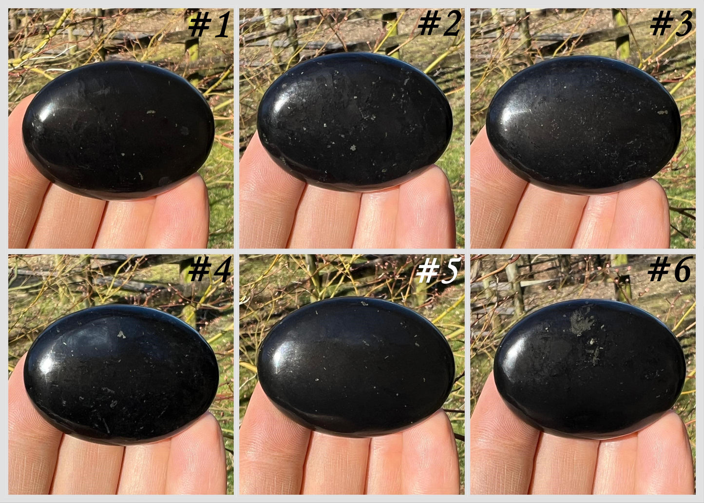 Shungite Palm Stones