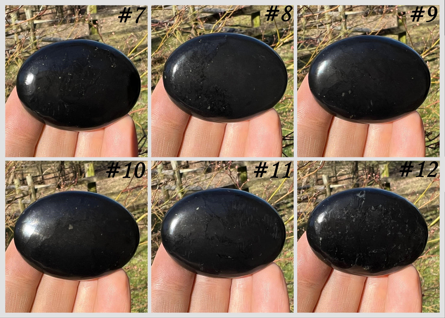 Shungite Palm Stones