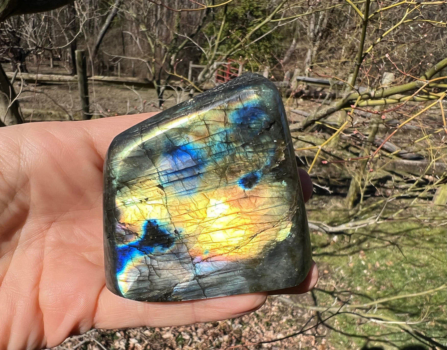 Labradorite Freeform