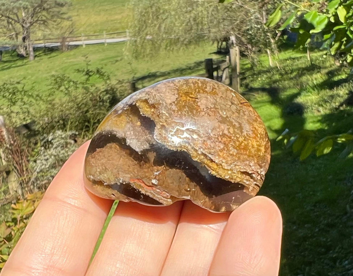Garden Quartz Dome