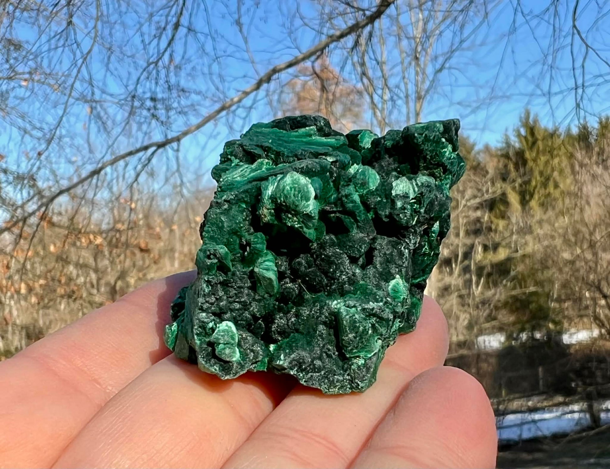 Silk Malachite Specimen #14 - Gem Realm 
