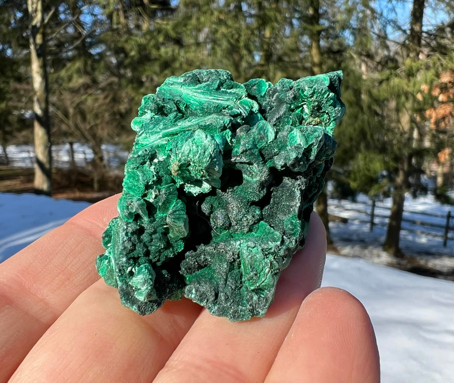 Silk Malachite Specimen #14 - Gem Realm 