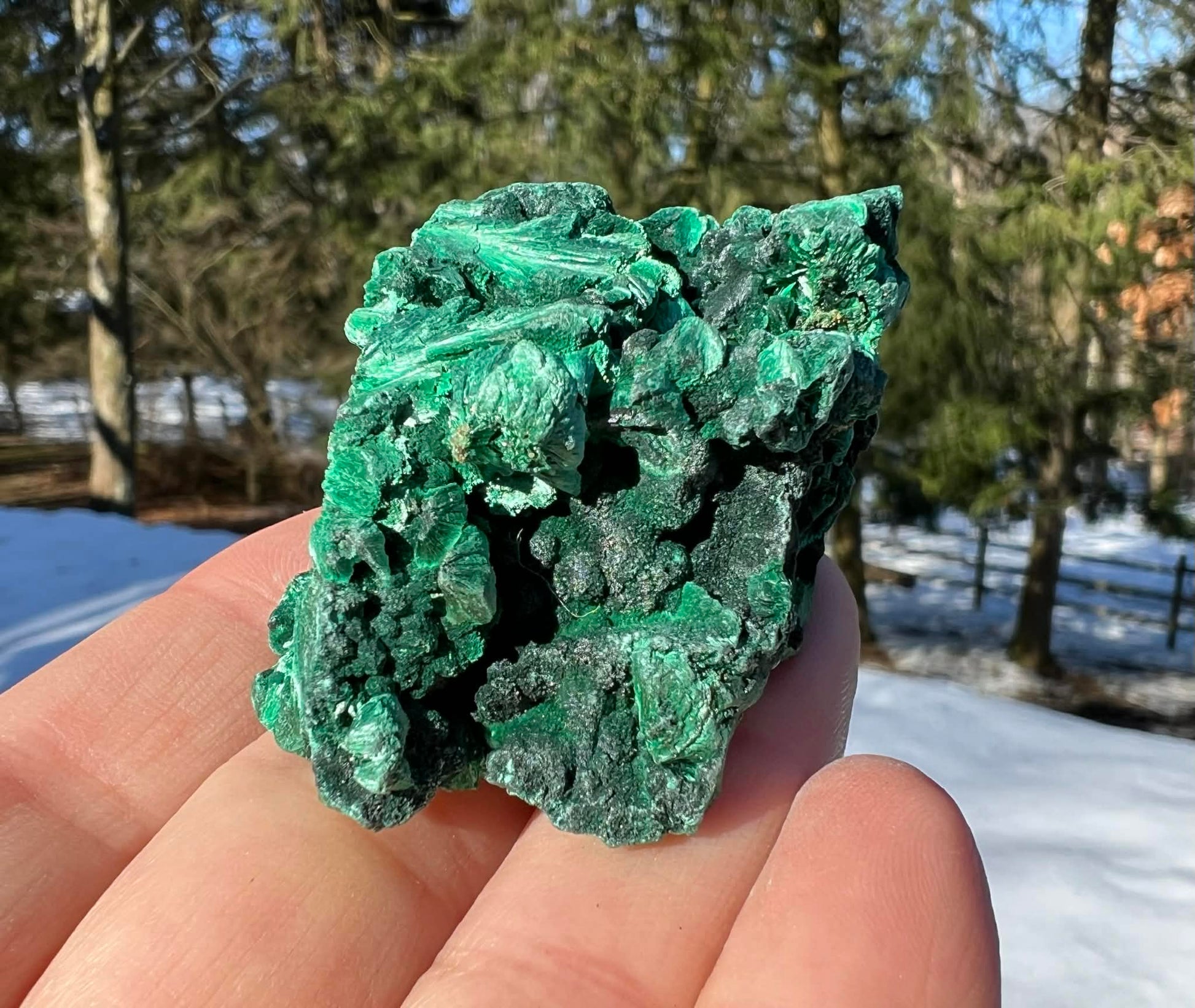 Silk Malachite Specimen #14 - Gem Realm 