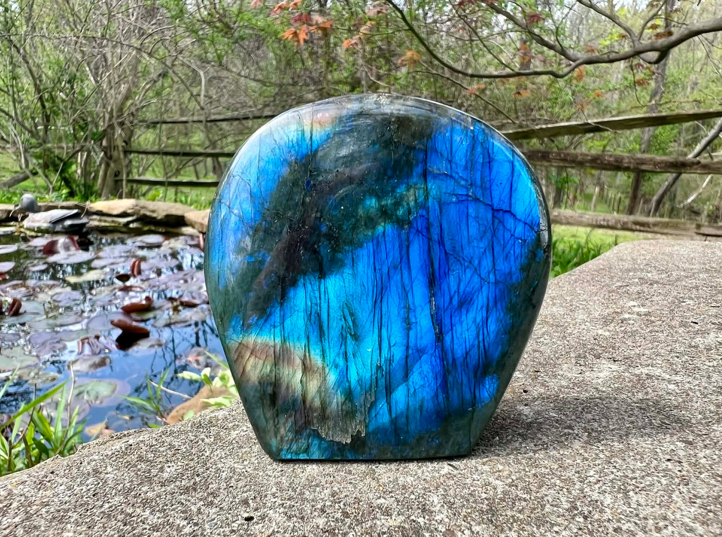Labradorite Freeform - Gem Realm 