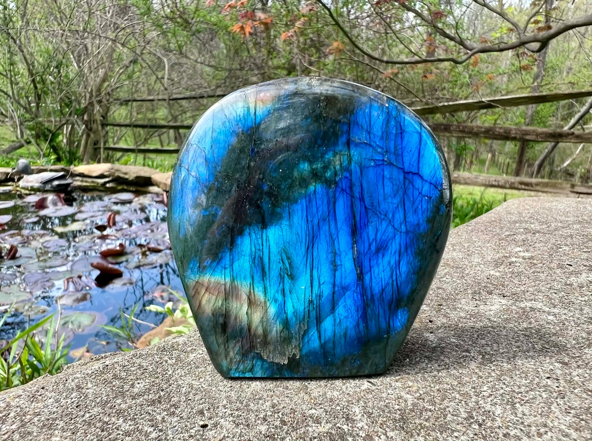 Labradorite Freeform - Gem Realm 