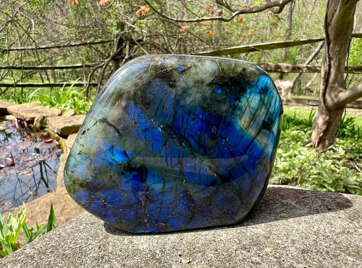 Labradorite Freeform - Gem Realm 