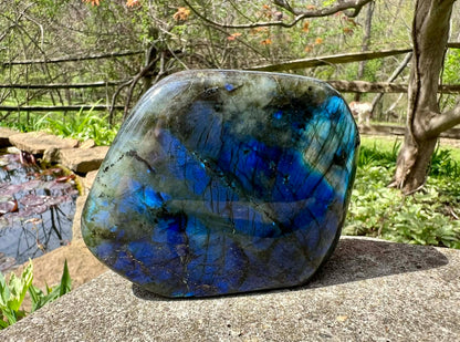 Labradorite Freeform - Gem Realm 