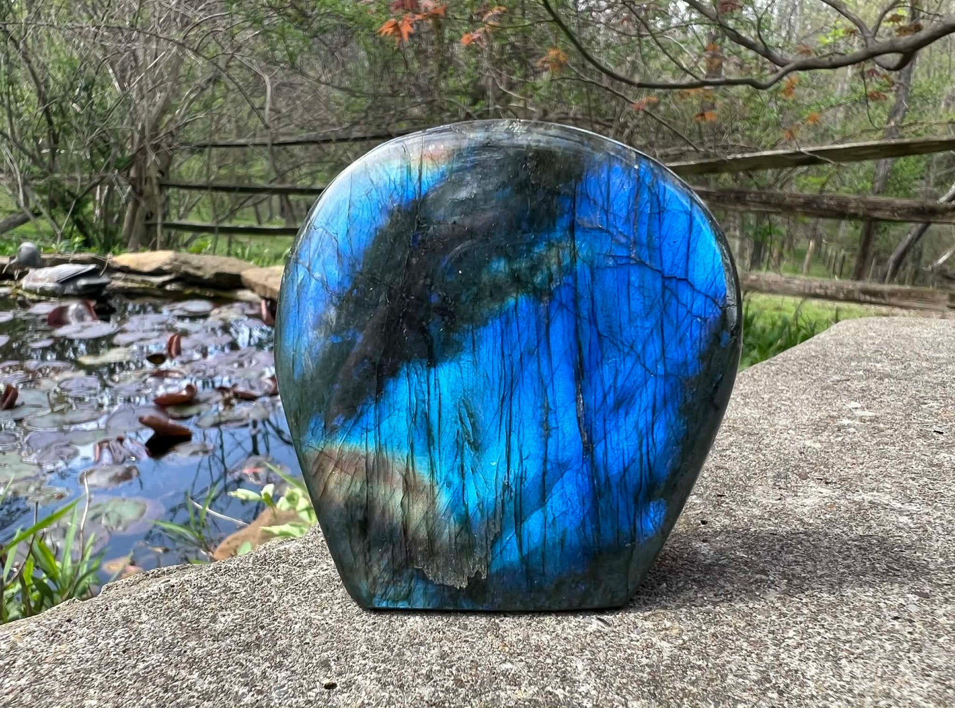 Labradorite Freeform - Gem Realm 