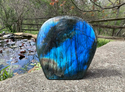 Labradorite Freeform - Gem Realm 