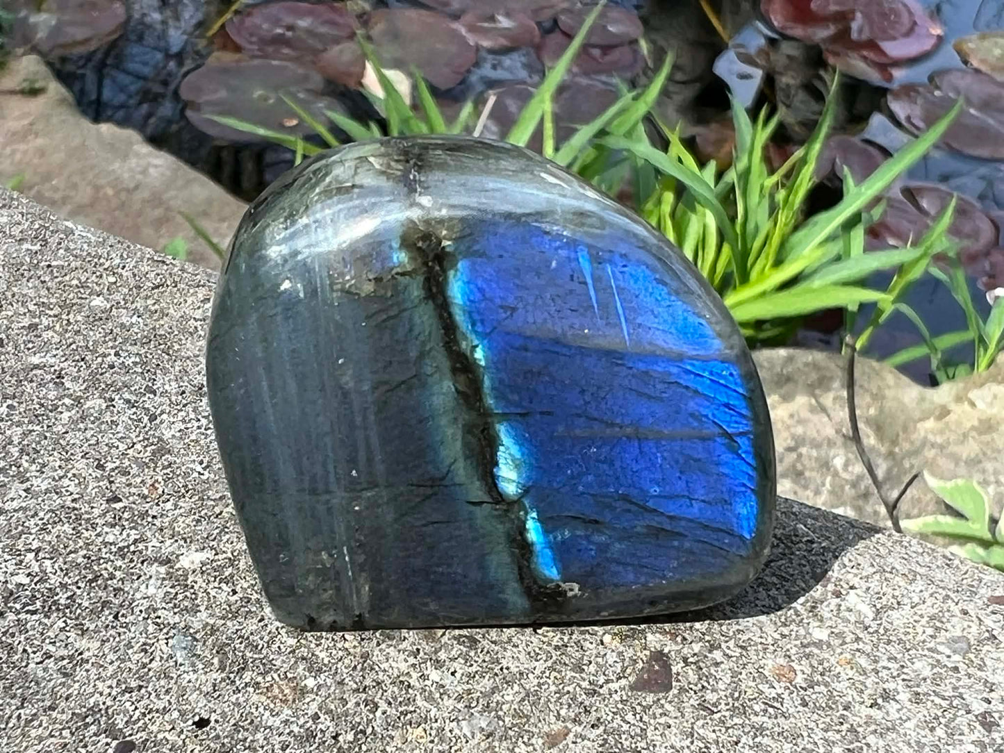 Labradorite Freeform - Mini - Gem Realm 