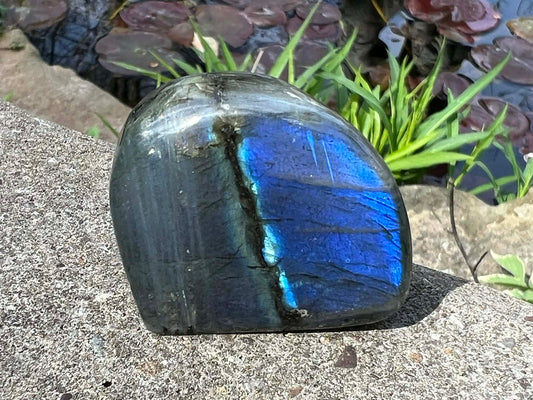 Labradorite Freeform - Mini - Gem Realm 