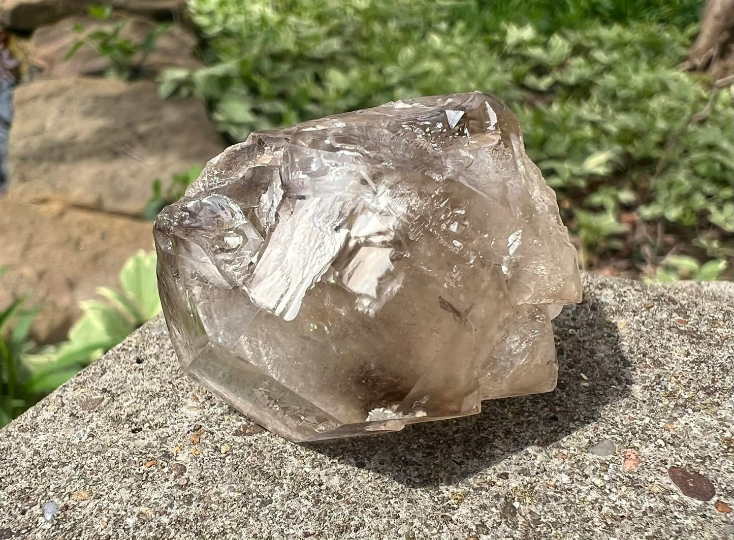 Smoky Elestial Quartz Specimen #13 - Gem Realm 