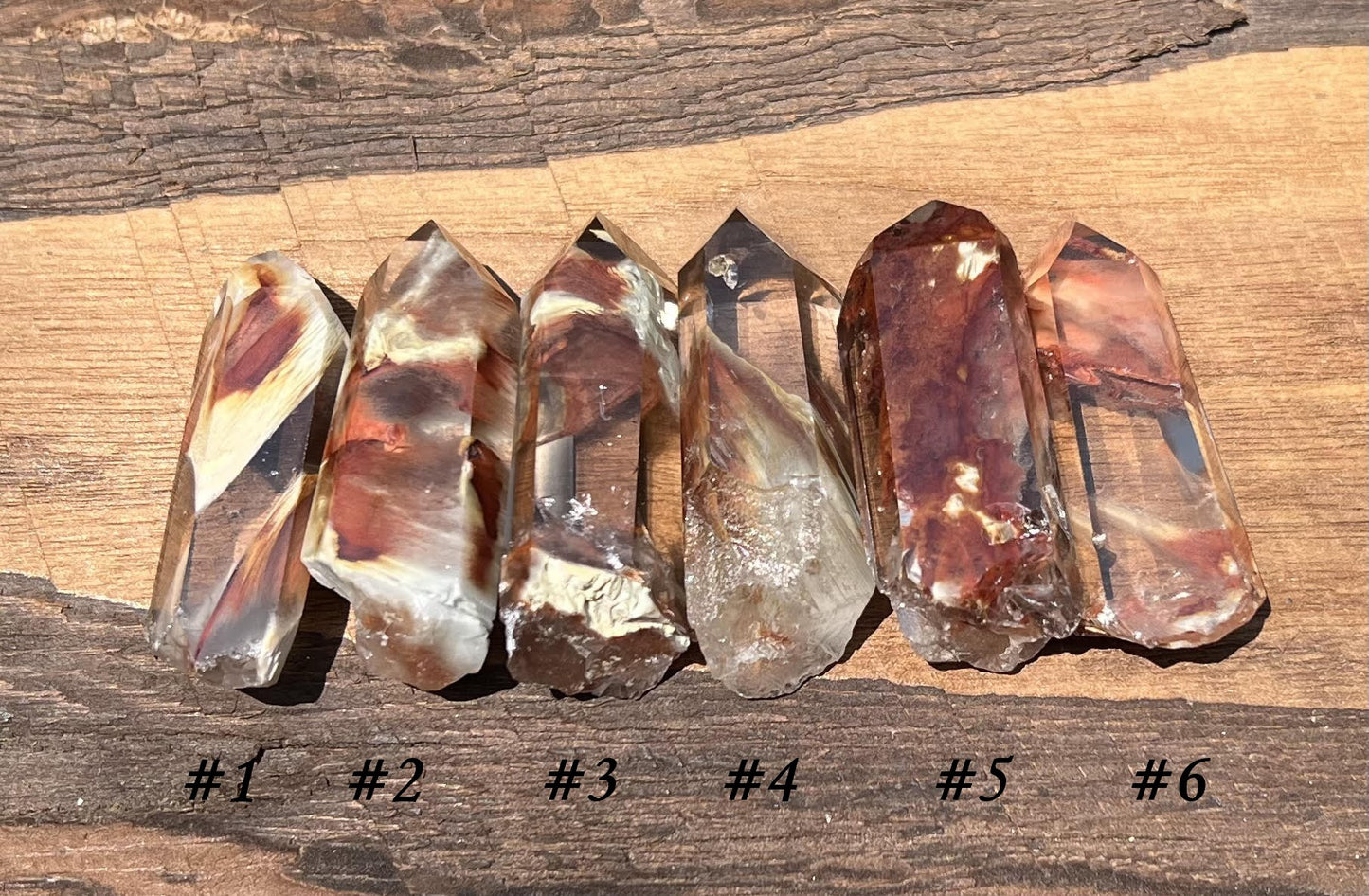 Amphibole Quartz Points