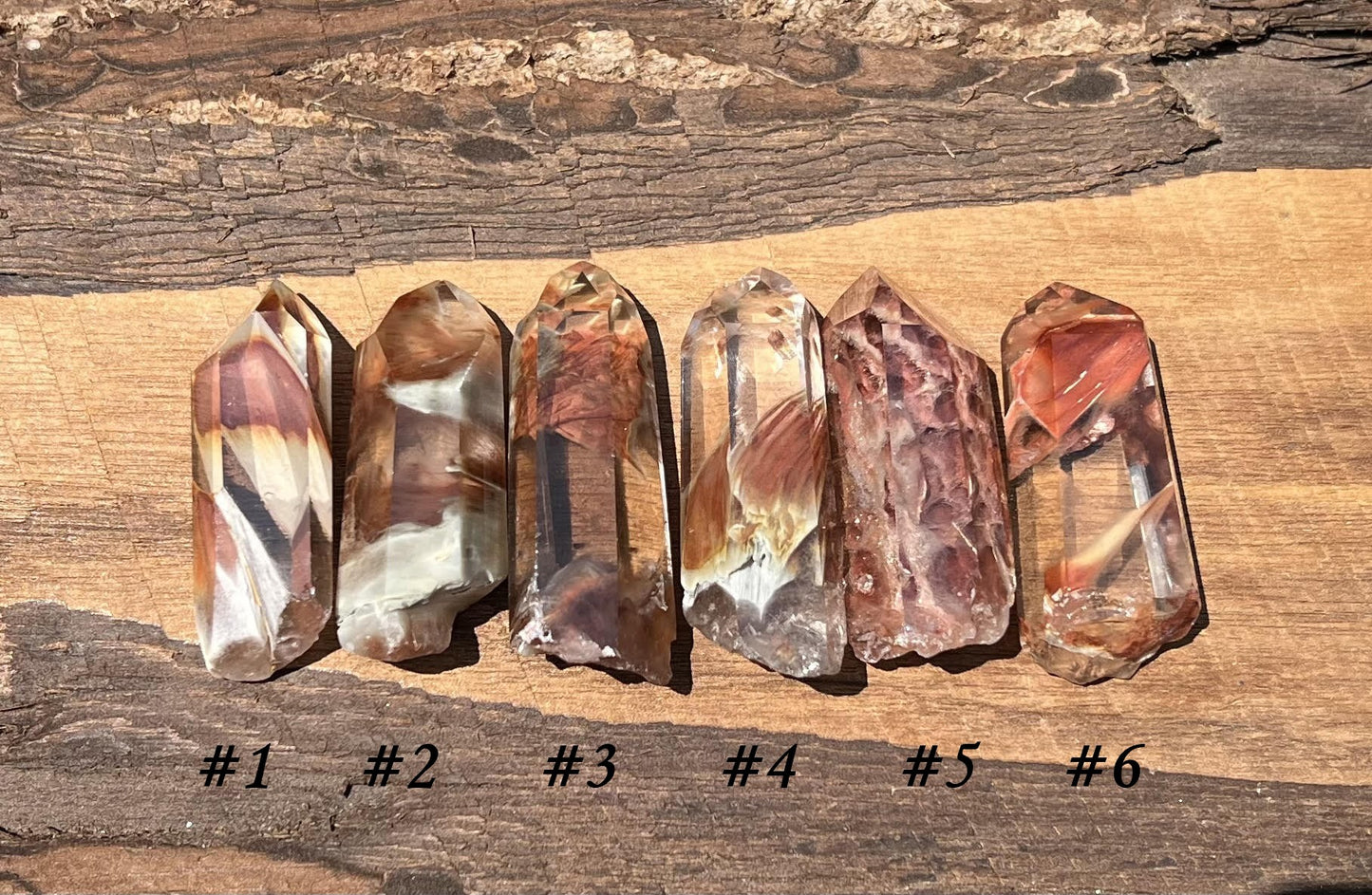 Amphibole Quartz Points