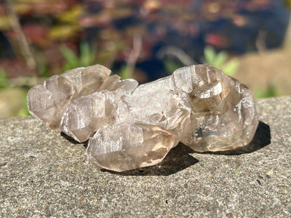 Smoky Elestial Quartz Specimen #7 - Gem Realm 