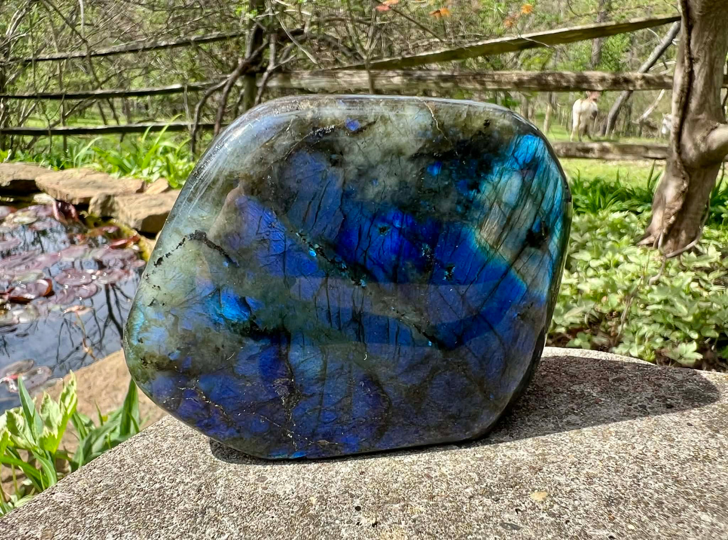 Labradorite Freeform - Gem Realm 