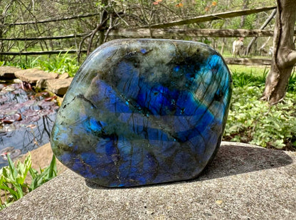 Labradorite Freeform - Gem Realm 