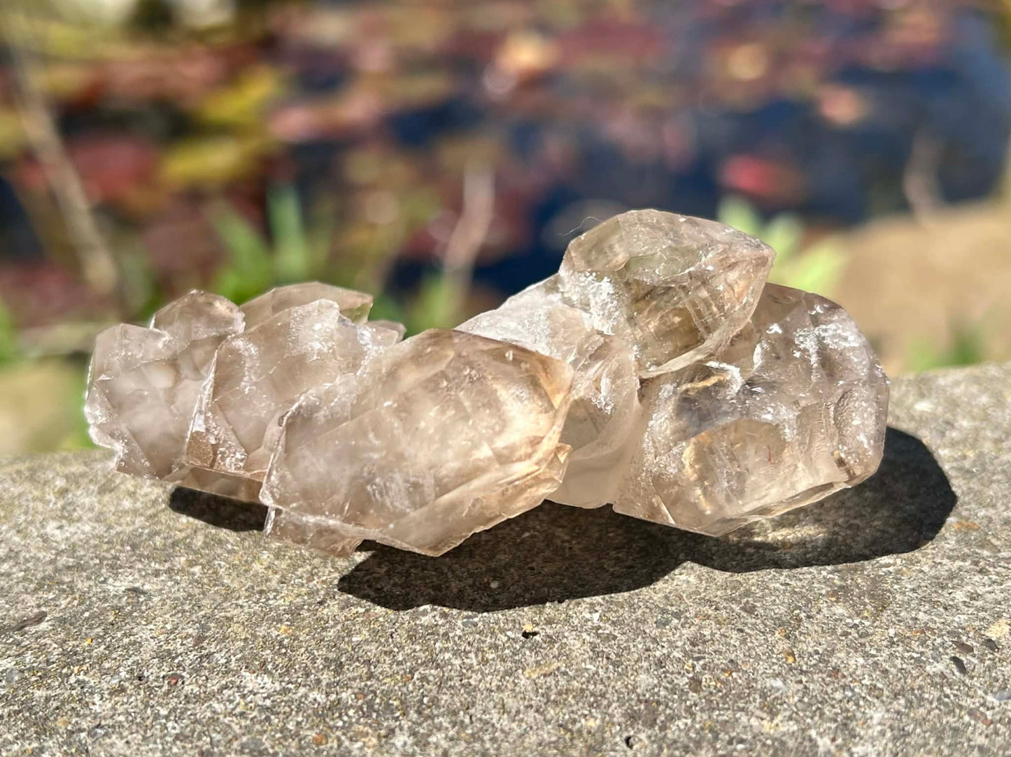 Smoky Elestial Quartz Specimen #7 - Gem Realm 