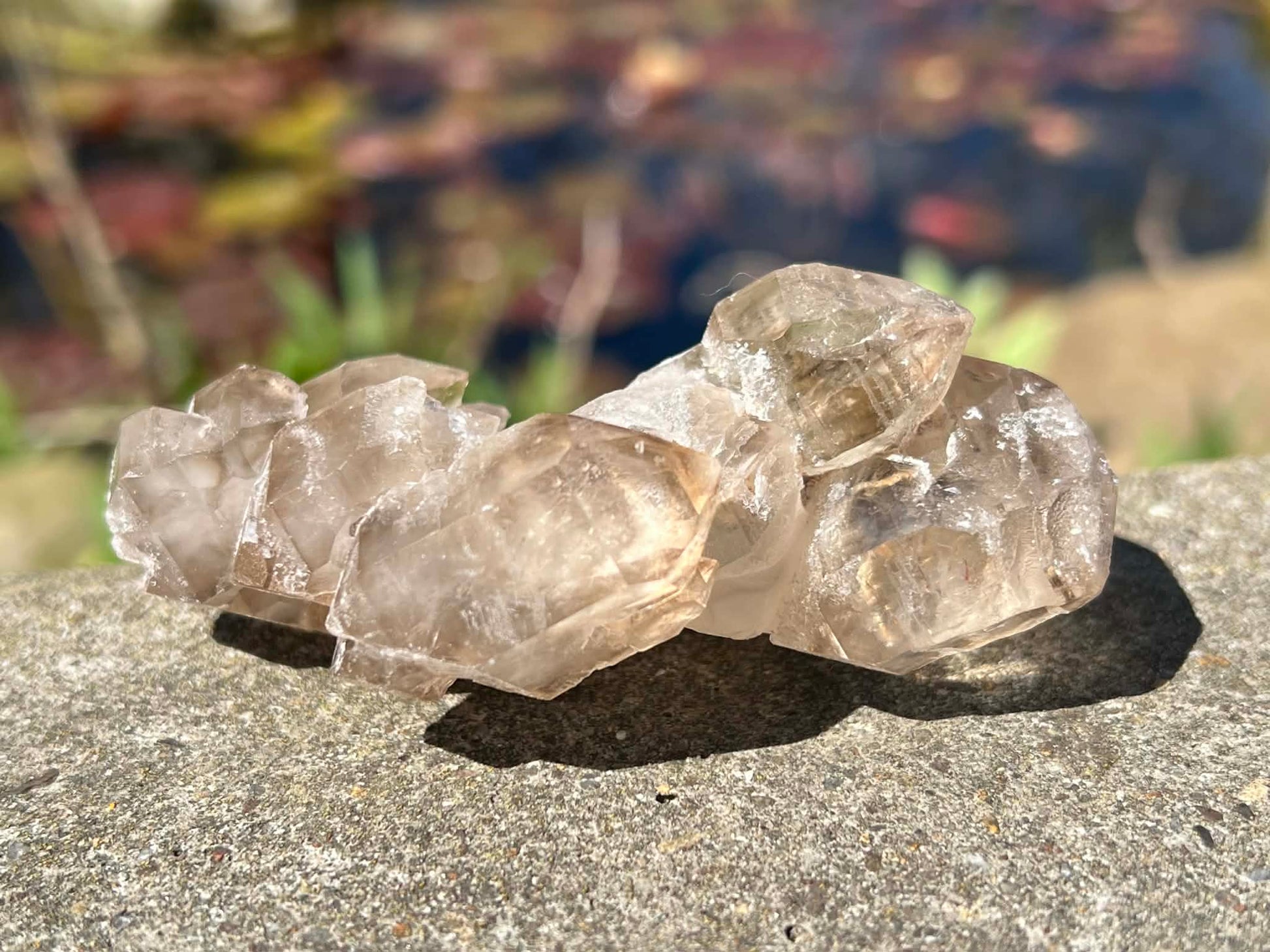 Smoky Elestial Quartz Specimen #7 - Gem Realm 