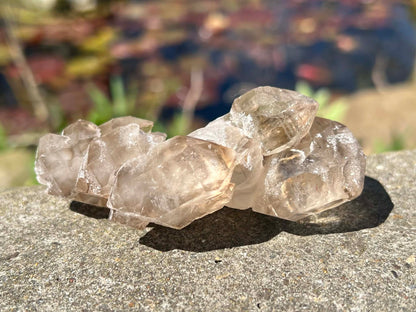 Smoky Elestial Quartz Specimen #7 - Gem Realm 