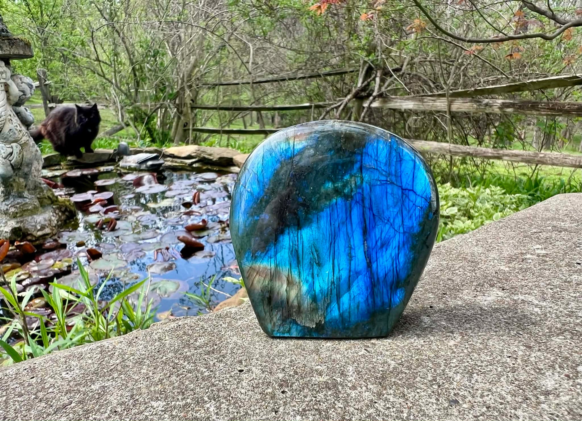 Labradorite Freeform - Gem Realm 