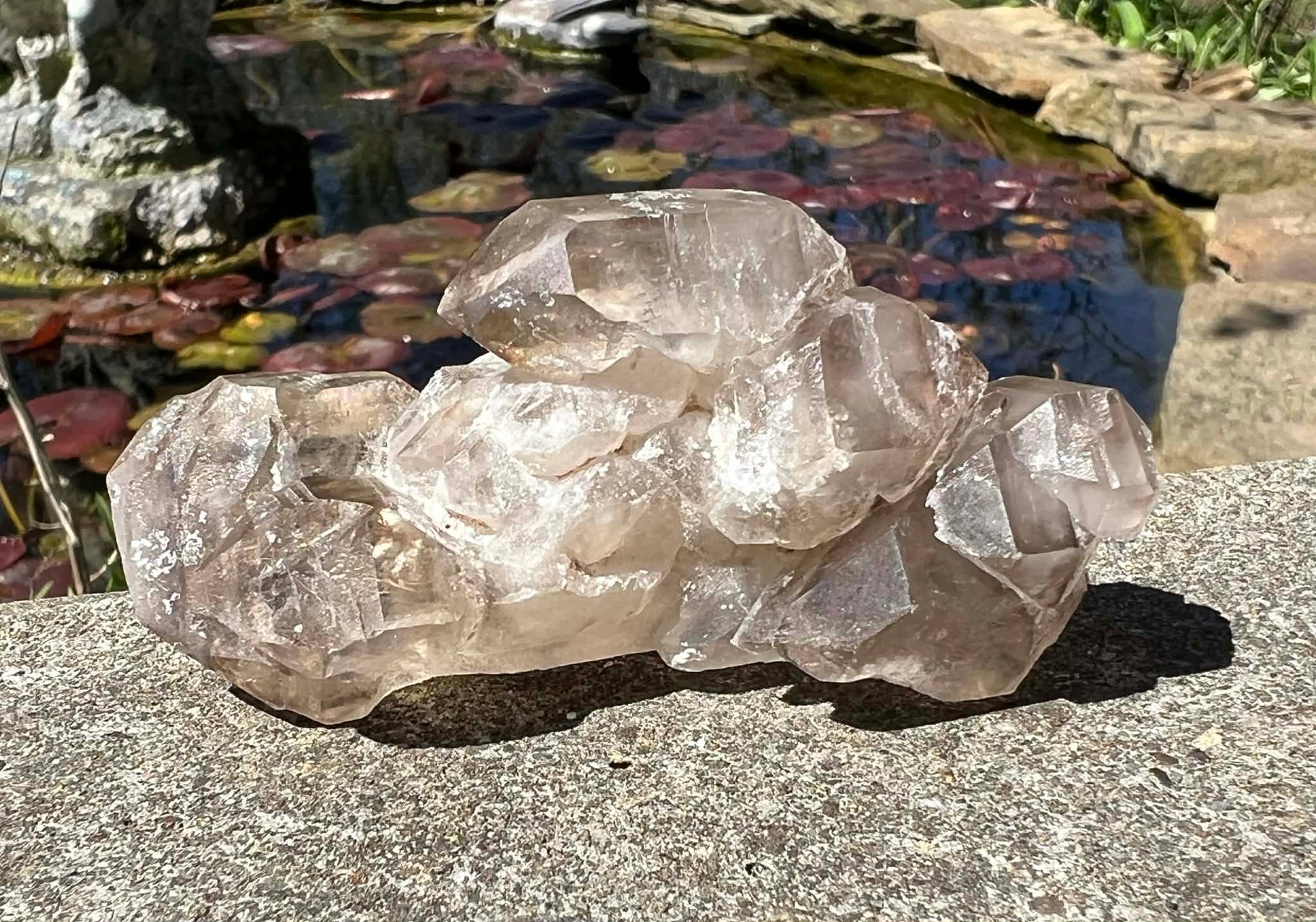 Smoky Elestial Quartz Specimen #7 - Gem Realm 