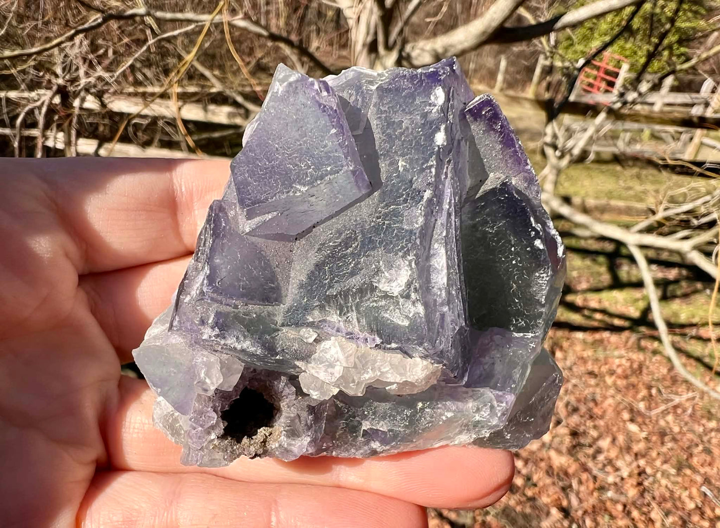 Rainbow Fluorite Specimen - Gem Realm 