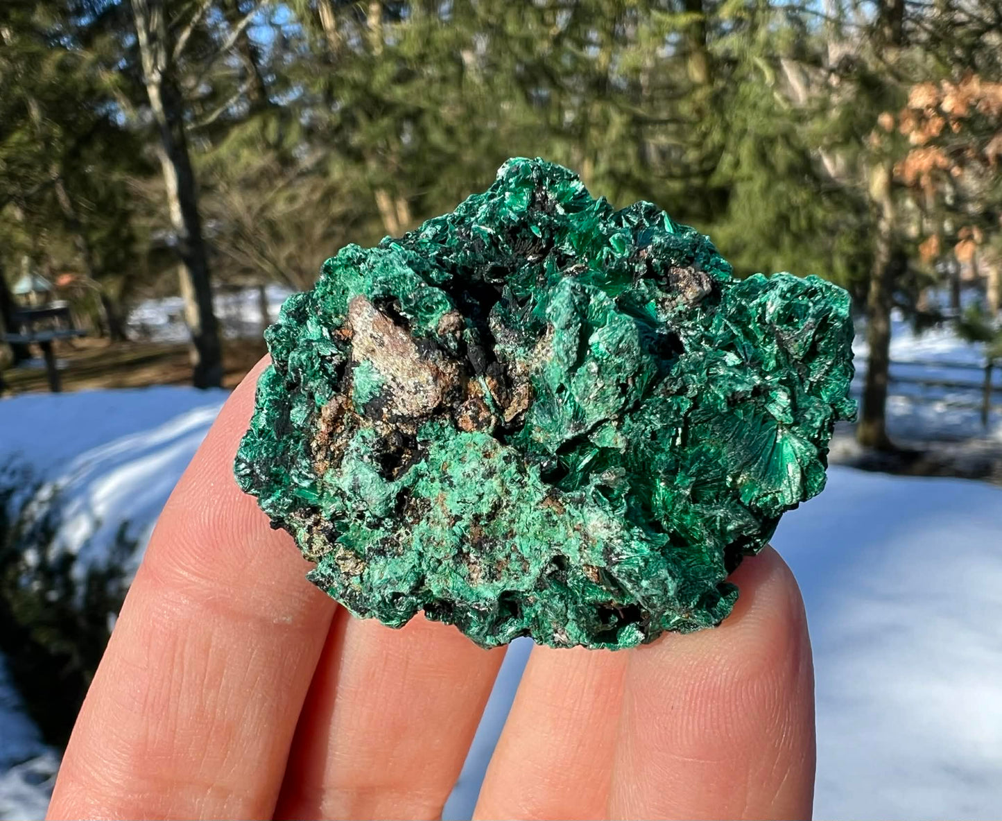 Silk Malachite Specimen #12 - Gem Realm 