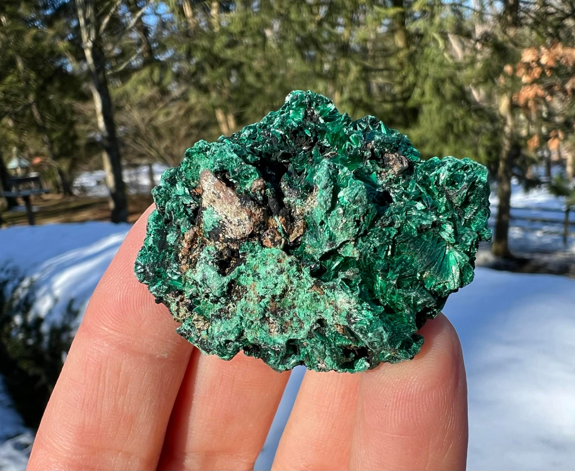 Silk Malachite Specimen #12 - Gem Realm 