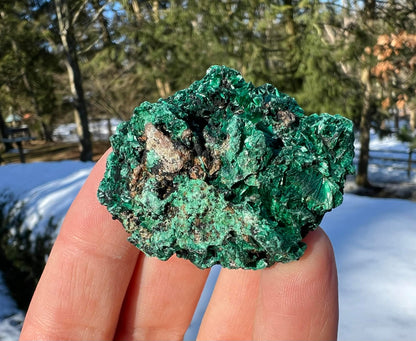 Silk Malachite Specimen #12 - Gem Realm 