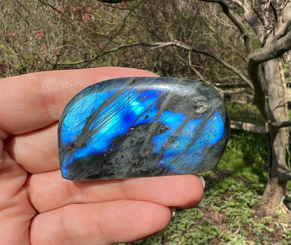 Labradorite Freeform - Mini - Gem Realm 